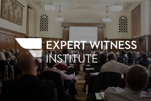Expert Witness Institute