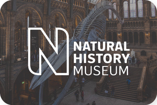 Natural History Museum